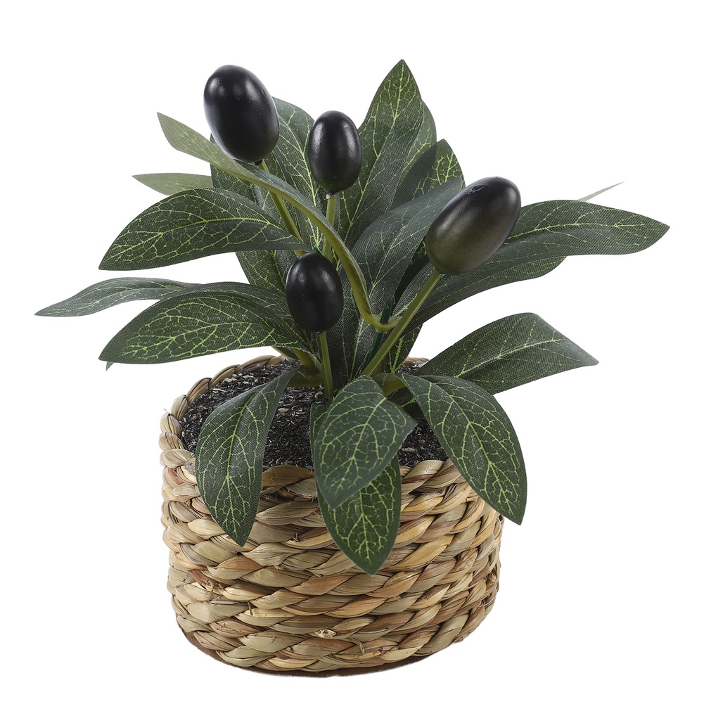 Artificial Plants Pocket Olive - Home Office Hidden Desk review and price